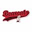 Cincinnati Bearcats Distressed