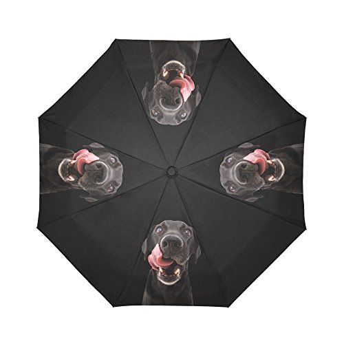 Interestprint Funny Labrador Dogs Windproof Auto Open And Close Folding Umbrella, Animal Pets Lightweight Outdoor Travel Sun And Rain Umbrella Uv Protection,Black #TOP12