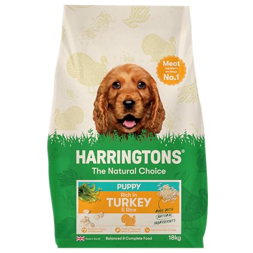 Best Dog Food For Mini Aussiedoodle Puppy