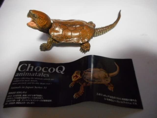 チョコQ 日本の動物 第11弾 オオアタマガメ シークレットSP-a 海洋堂