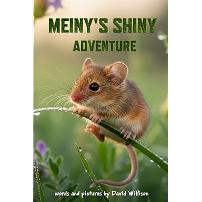Meiny's Shiny Adventure