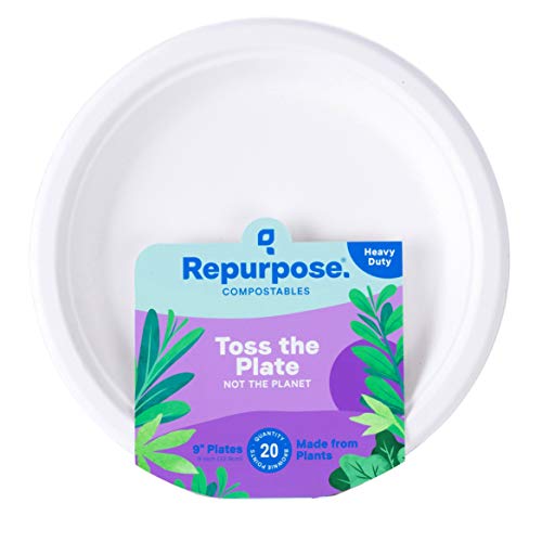 Repurpose Compostable Everyday Plates, 9 Inch, Plant Based, Cruelty Free, 20 Pieces (Pack of 12)
