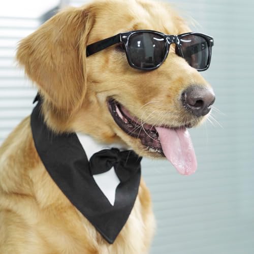 Disfraz Formal de Esmoquin para Perros Grandes con Gafas miniatura 2