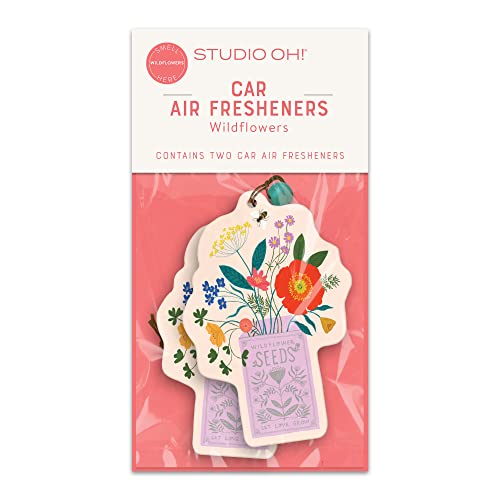 Image of Studio Oh! Let Love Grow Set of 2 Hanging Car Air Freshener, Long-Lasting Fragrance, Odor Eliminator, Scented Car Accessory for Auto Interior, Decorative Air Freshener, 4 x 7.5 in