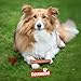 Rosewood Salmon Fillet Strips Large – Weicher Hundesnack mit 97 Prozent Lachs, proteinreich und fettarm, ohne Getreide, ohne künstliche Zusatzstoffe, 150 g