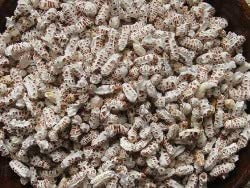 Kingnqueenz Malar Red rice Malar Puffed rice or popped rice -200gm മലര് (B0C38TD5CT) Amazon Price History, Amazon Price Tracker
