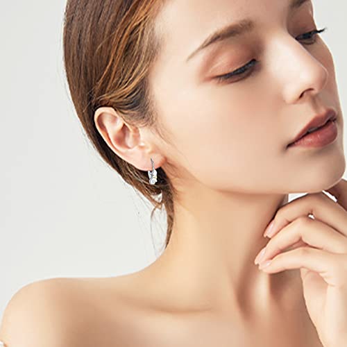 Cat Earrings 925 Sterling Silver Kitty Huggie Hoop Earrings With Gold Star Animal Dainty Jewelry Hypoallergernic For Sensitive Earrs For Women Girls Cat Lover Graduation Gift Teacher Appreciation Gifts #TOP3