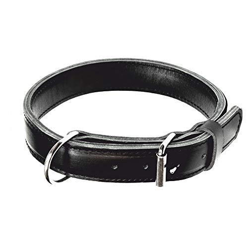 Collier en cuir véritable noir Dingo Gear Max S04031 aux finitions soignées - 2