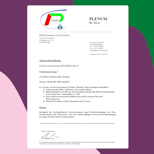 Leber Komplex - Testsieger-Online 11/25 - 180 Kapseln mit Mariendistel, Artischocke, Löwenzahn & Cholin – mit 480 mg Silymarin – Unterstützt die Leber durch Cholin* – TRUE NATURE