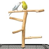 Pecirvoli Natural Wood Bird Perch & Play Stand for Parakeets/Cockatiels - Multi-Level Cage Accessory with Training Branch