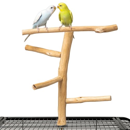 Pecirvoli Natural Wood Bird Perch & Play Stand for Parakeets/Cockatiels - Multi-Level Cage Accessory with Training Branch
