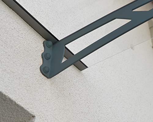 Palram Canopia Vordach Aquila 4500, Regenschutz, Überdachung klar 450x92 cm Pultvordach und Türüberdachung