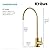 KRAUS Purita 2-Stage Under-Sink Filtration System with Single Handle Drinking Water Filter Faucet in Brushed Brass, FS-1001-FF-100BB