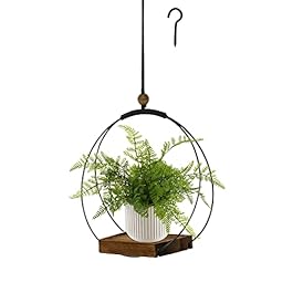 Hanging Planter for Indoor...