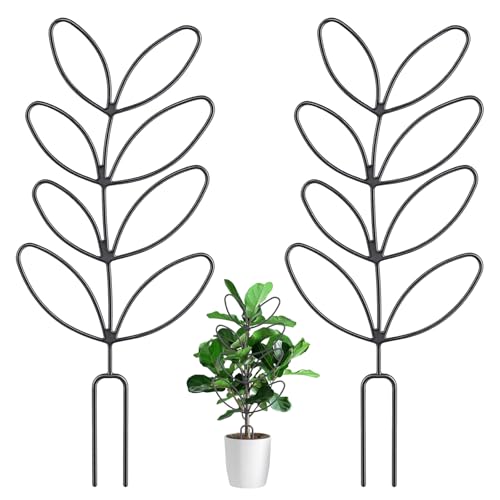 Nogeqi 2Pcs Plant Trellis Indoor 12in Plant Support for Climbing