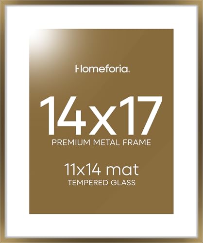 Homeforia 14x17 Bronze Picture Frame with Mat (11x14)