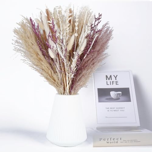 Ramos De Flores Secas Naturales | Ramas Decorativas - SKLUM