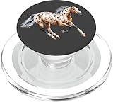 Appaloosa Cavallo, Appaloosa, Pony, Carino Appaloosa Cavallo, Appaloosa Amante Cavallo