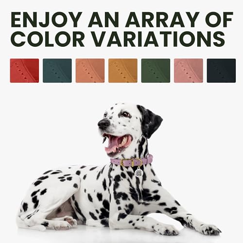 BRONZEDOG Hundehalsband aus gerolltem Leder mit QR-ID-Tag, verstellbar, weiche runde Halsbänder für kleine, mittelgroße und große Hunde, Welpen, Katzen (Rosa, 18-25 cm)