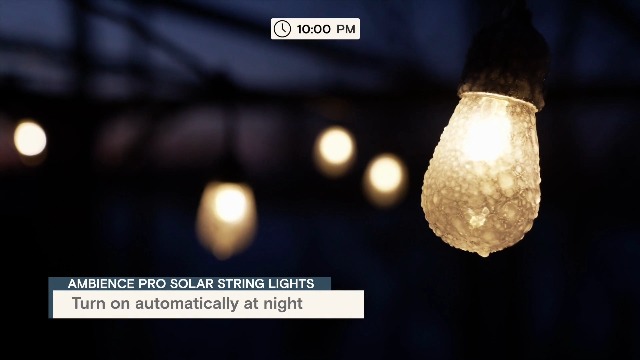 Image of Brightech Ambience Hybrid Outdoor String Lights - Dual Plug and Solar Powered Waterproof LED Light String for Outside - 48 Ft, Soft White Edison Bulbs, for Camping, Patio, Cafe, Yard, Porch