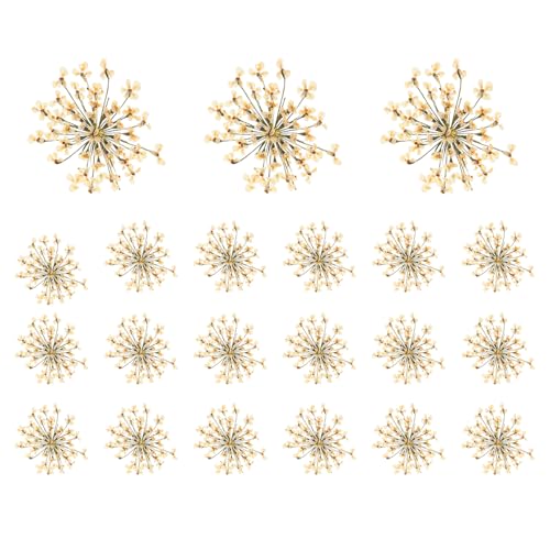 48 flores secas naturales blancas prensadas para manualidades miniatura 1