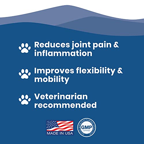 Paramount Pet Health All Natural Concentrated Glucosamine For Large Dogs - 5200Mg Glucosamine Chondroitin For Dogs - Dog Joint Supplement & Dog Glucosamine - Dog Hip And Joint Supplement #TOP2