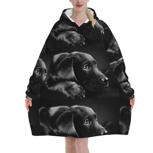 Sweat couverture labrador noir pour des soirées cocooning au chaud