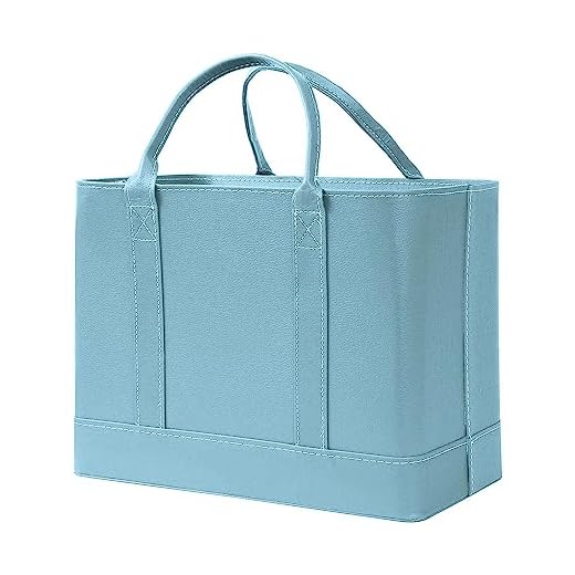 HOME DISTRICT Chic File Organizer Tote - Important Document Organizer Bag, Portable File Box with Handle, Blue