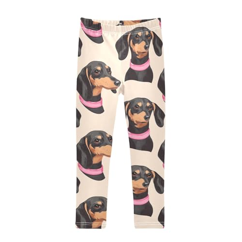 Dachshund in Collar Girls Leggings,Workout Leggings for Girls Toddler Athletic Leggings Size for 3-10T