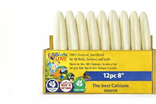 Birds LOVE 7.5-8" Cuttlebones for Birds – 100% Natural Sun-Dried