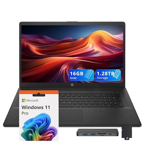 HP 17.3