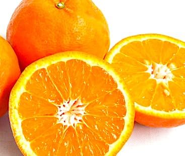 『高級みかん～樹上完熟』セミノール お試し 約１.７kg～甘みと酸味のバランス 旬の産地品をお届け 手で剥ける 鮮やかな赤橙色 オレンジの爽やかな香り 濃厚 贈答用 ふるさと再生市場『果汁が多い「春」みかん』ご家庭用 ご自宅用 プレゼント