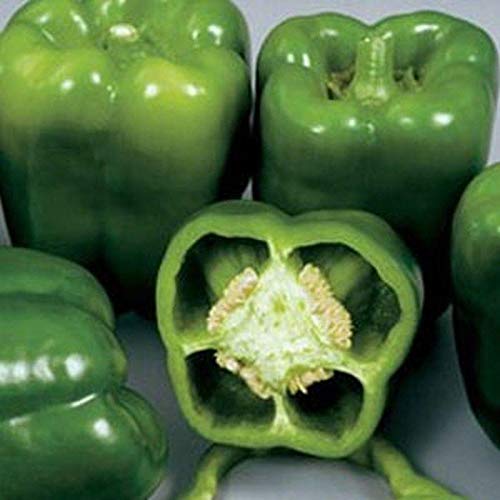Colossal Hybrid F1 Sweet Bell Pepper Seeds