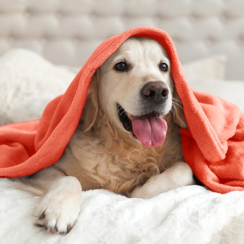 Image of BEDELITE Fleece Blanket Twin Size Coral Red Throw Blankets for Couch & Bed, Luxury Plush Cozy Fuzzy Blanket 60x80 inches, Super Soft Warm Lightweight Throw Blanket for Travel Camping