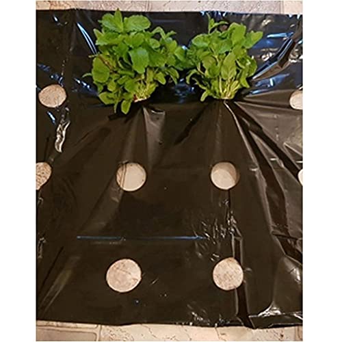 Mulchfolie 5-Loch perforierte PE-Folie für Gewächshäuser 95cm breit 0,02mm stark Landwirtschaft Unkrautbekämpfung Schwarz Mulch Gartengemüsemembrane Pflanzenmulch 1 Stück(20 Meter) Mulchfolie 5-Loch perforierte PE-Folie für Gewächshäuser 95cm breit 0,02mm stark Landwirtschaft Unkrautbekämpfung Schwarz Mulch Gartengemüsemembrane Pflanzenmulch 1 Stück(20 Meter)
