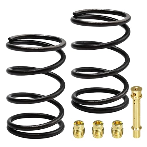 Strongthium 18lb Racing Valve Springs for Upgrade Predator 212cc 196cc