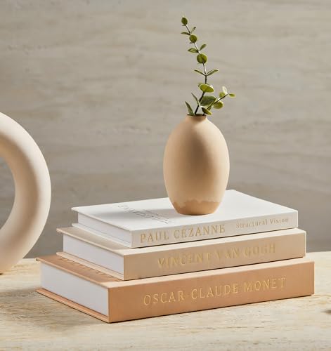 Aesthetic Decorative Books - Coffee Table Books Decor - Faux