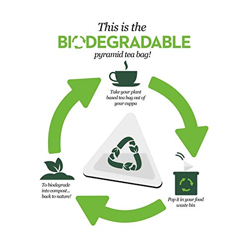 Pg Tips Gold 80S Pyramid Teabags 232 G (Pack Of 6, Total 480 Teabags) #TOP3