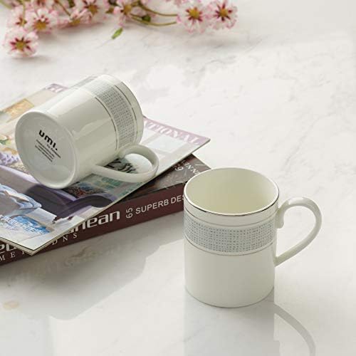 Amazon Brand - Umi Dinner Set (Silver Rim Set 1)