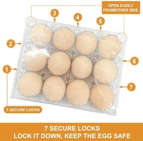 100 Pack 12 Count Plastic Egg Cartons β Bulk Cheap Clear Reusable | Egg Cartons Bulk, Egg Holder for Fridge, Egg Organizer for Refrigerator, Egg Storage for Refrigerator. - 2