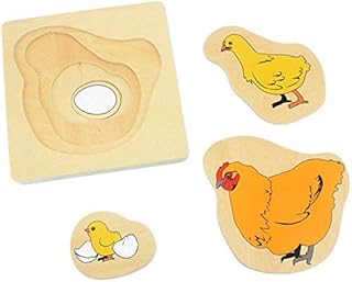Danni Montessori Toddler Wood Puzzle Toy Life Cycle of Hen Egg Hatching Grow Up Cartoons Puzzles Jingsaw Preschool Infant Science Toys
