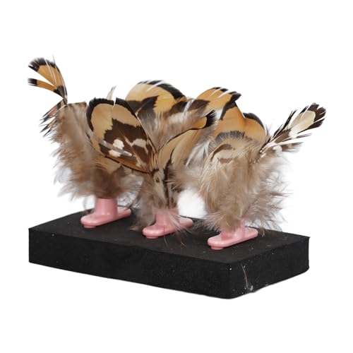 Brinquedo de Penas de Gato, Redução de Ansiedade Promove a Circulação 3pcs Brinquedo de Gatinho de P