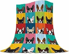 Boston Terrier Puppies