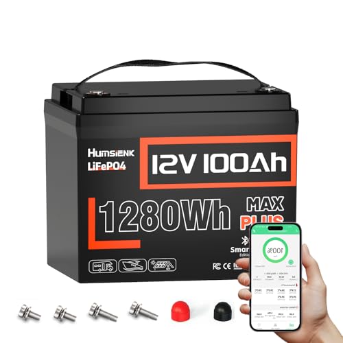12V 100Ah LiFePO4 Lithium Battery MAX with Bluetooth 5.0