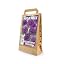 Allium | Puple