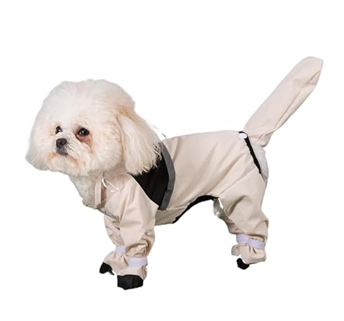 EK܂őSgG炳Ȃ pCR[g SgtJo[ GȂ Ct t[ht h ˃e[v n[lXt CEGA |` J Jbp h hbOEGA  ₷ H ~J U