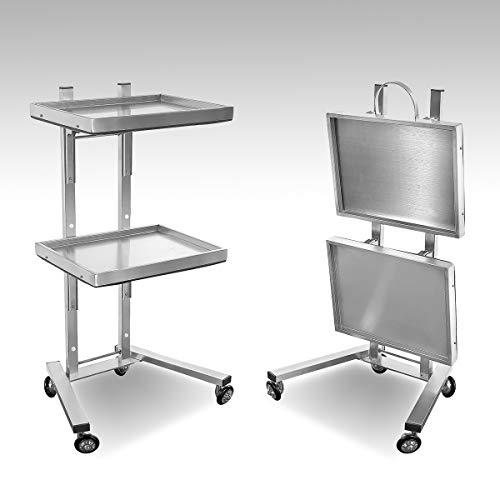 Stainless Steel Salon Tray On Wheels For Tattoo Medical Dental,Rolling Tray Salon Trolley Beauty Hair Lash Cart Mayo Stand (Sliver) #TOP6