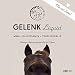 Annimally Gelenk Liquid für Pferde 1000ml mit Teufelskralle, Glucosamin und MSM (Schwefel) flüssig - Für die Stärkung der Gelenke beim Pferd - Alternative zu Pulver