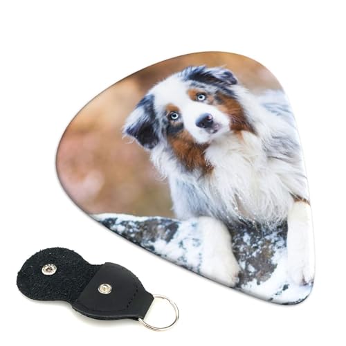 I[XgAVFp[hXm[ GLM^[ x[XpsbN EN M^[ Absf GNgbN AR[XeBbN y S gCAO sbN 6Zbg 0.46mm