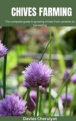 CHIVES FARMING: The complete guide to growing chives from varieties to harvesting